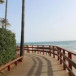 Beach Forest Paradise
